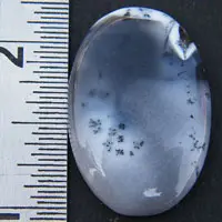 Dendritic agate M cabochon