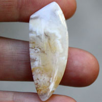 Graveyard Point Plume agate C cabochon