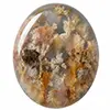 Our Graveyard Point Plume agate cabochons