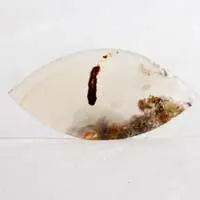 Horse canyon agate cabochon