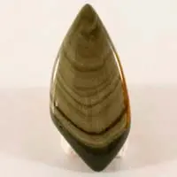 Imperial jasper C cabochon