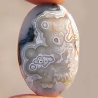 Mexican Crazy Lace agate X cabochon