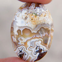 Mexican Crazy Lace agate O cabochon