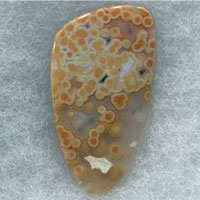 Ocean jasper D cabochon