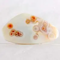 Ocean jasper G cabochon
