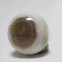 Ocean jasper L cabochon