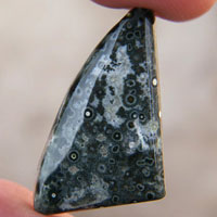 Ocean jasper Q cabochon