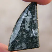 Ocean jasper Q cabochon