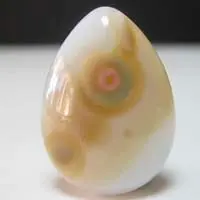 Ocean jasper T