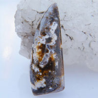Ocean jasper W cabochon