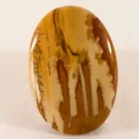 Owyhee jasper A cabochon