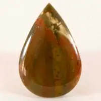 Owyhee jasper B cabochon