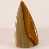 Owyhee jasper C cabochon