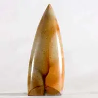 Owyhee jasper E cabochon