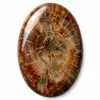 Our wood cabochons