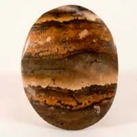 Picture jasper B cabochon