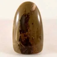 Priday plume agate B cabochon