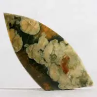 Rainforest jasper H cabochon