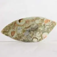 Rainforest jasper I