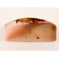 Russian dendritic agate cabochon