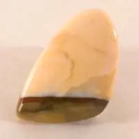 Polka agate cabochon