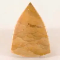 Willow Creek jasper A cabochon