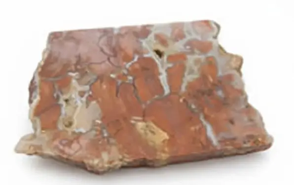 Lithotherapy: the virtues of Y stones as Youngite...