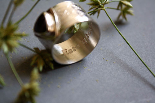 The druid’s ring, Celtic ring in silver, brass and garnet
