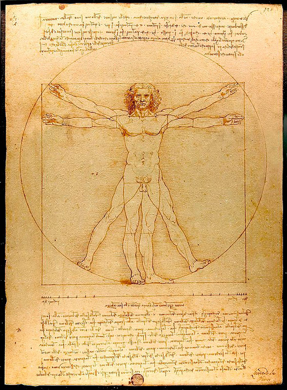 Drawing of the Vitruvian man according to Leonardo da Vinci