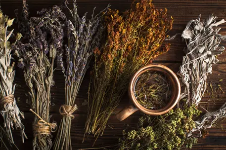Celtic druid herbalist