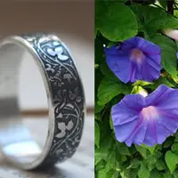 Ipomoea ring