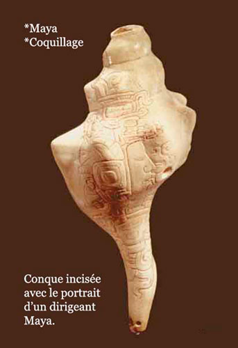 Mayan conch engraved with a face