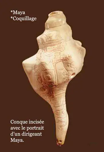 Maya conch engraved with a face