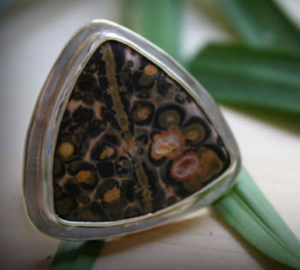 Leopard Jasper, history and healing properties