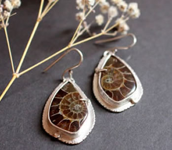 ammonite, meanings and healing properties