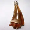 Nacre and shell characteristics