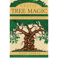 Celtic Tree Magic: Ogham Lore and Druid Mysteries